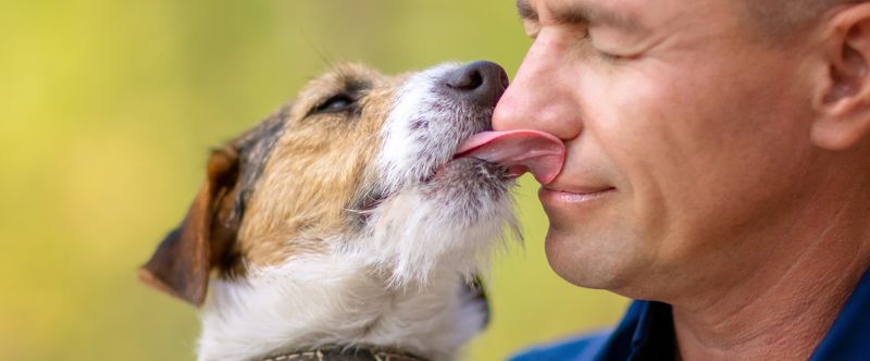 Affectionate Gestures