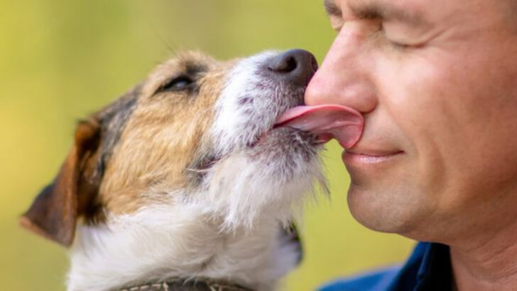 Is That a Kiss or a Clue? What Your Dog’s Licking Really Means