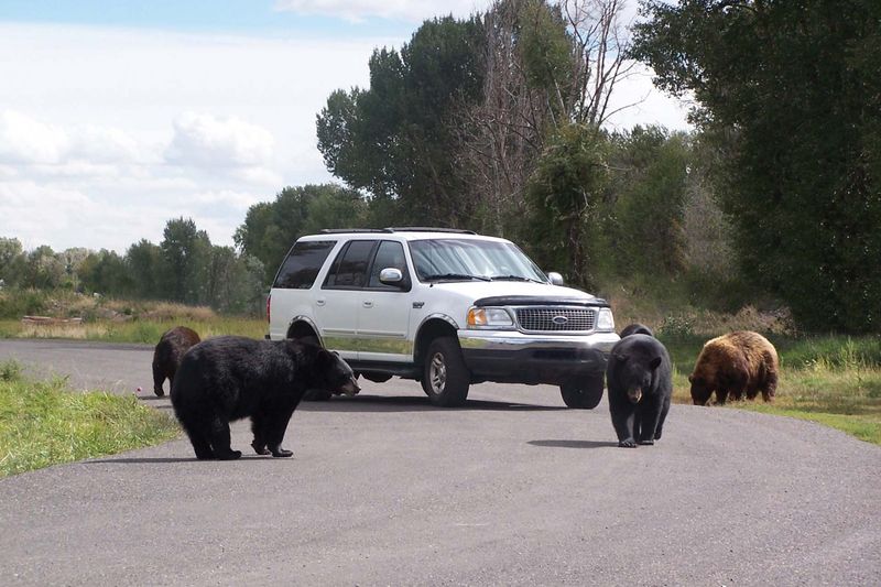 Jackson, Wyoming