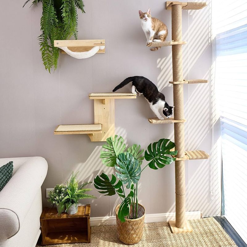 Cat Climbing Tree