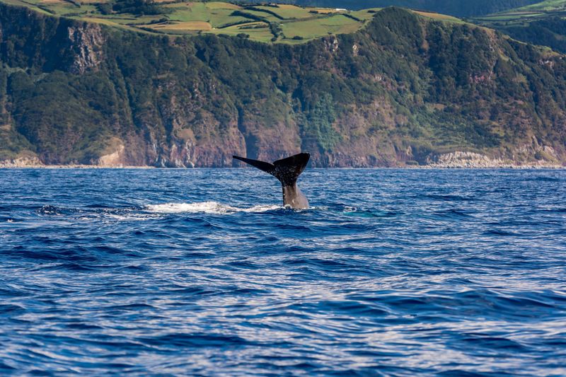 Azores, Portugal