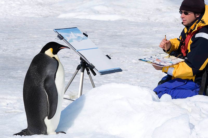Penguin