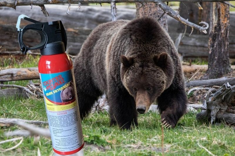 Use Bear Spray