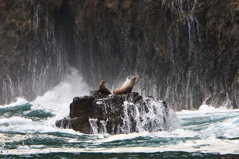 Channel Islands National Park, California