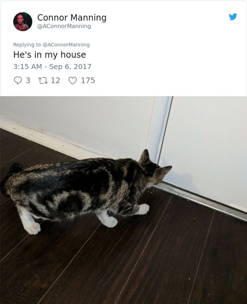 Following You Around