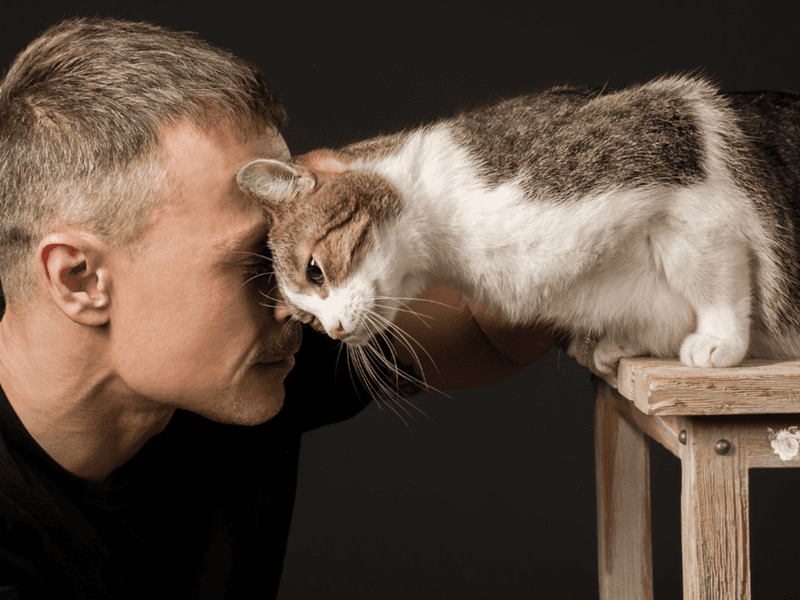 Head-Butting