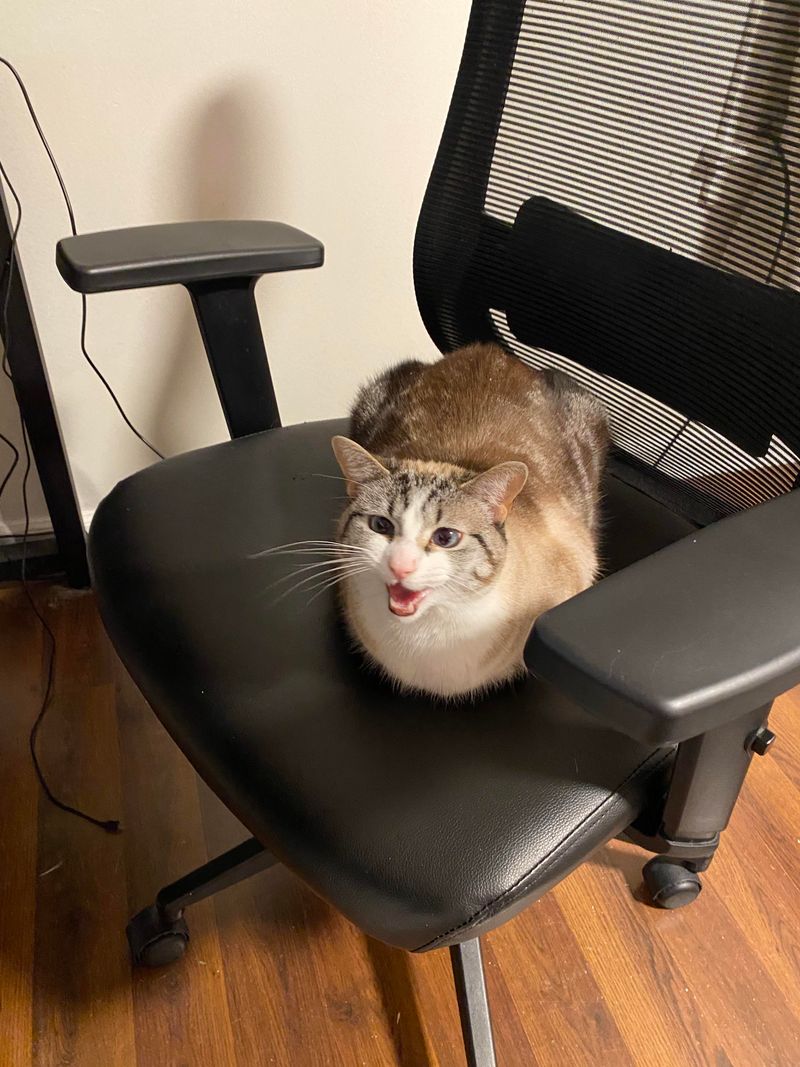 Stealing Your Spot