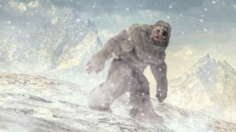 Yeti