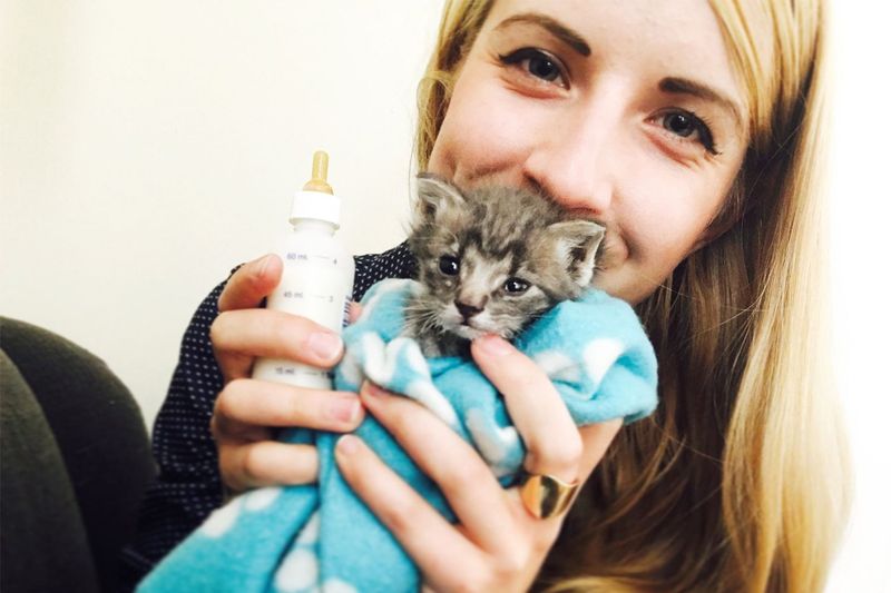 Kitten Lady’s Neonatal Fosters
