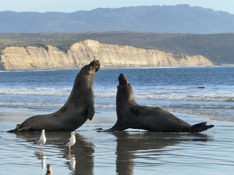 Point Reyes National Seashore, California
