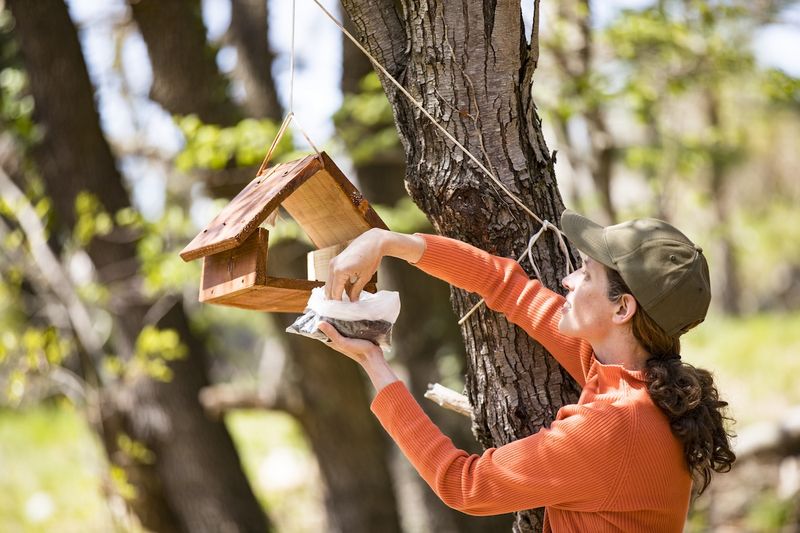 Poorly Maintained Feeders