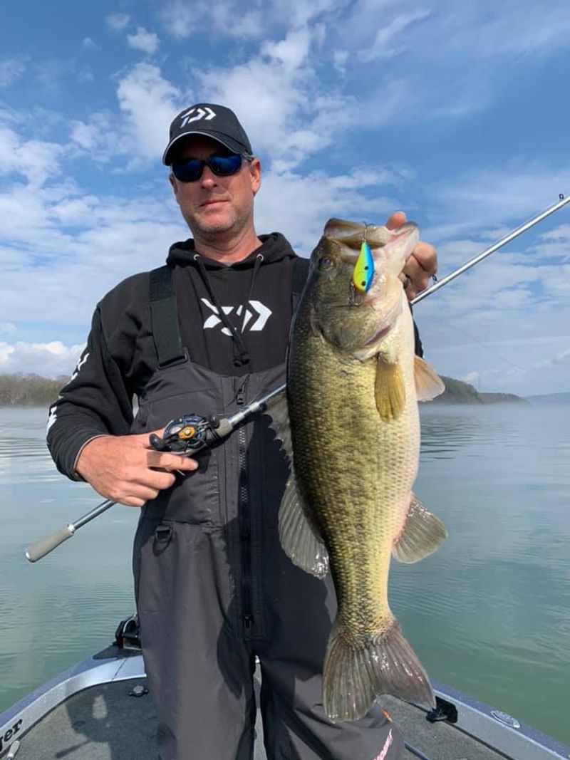 Lake Guntersville, Alabama