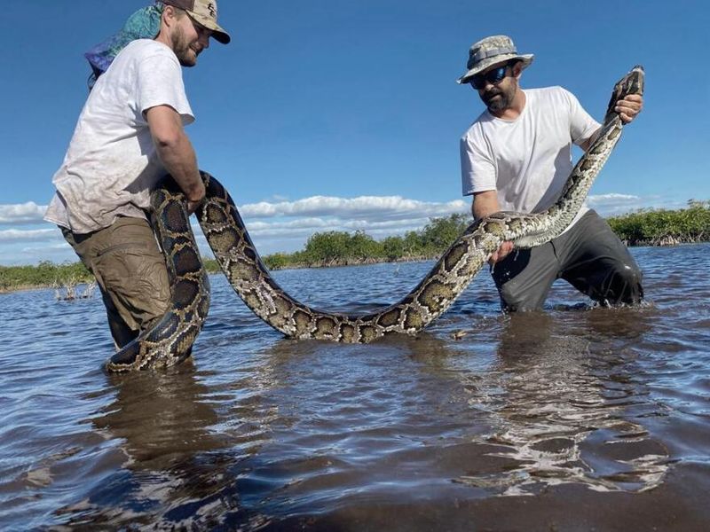 Everglades waterways