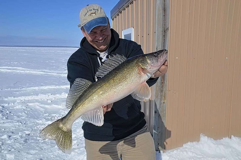 Lake of the Woods (MN/Canada)