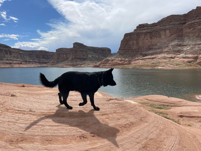 Lake Powell, Utah/Arizona
