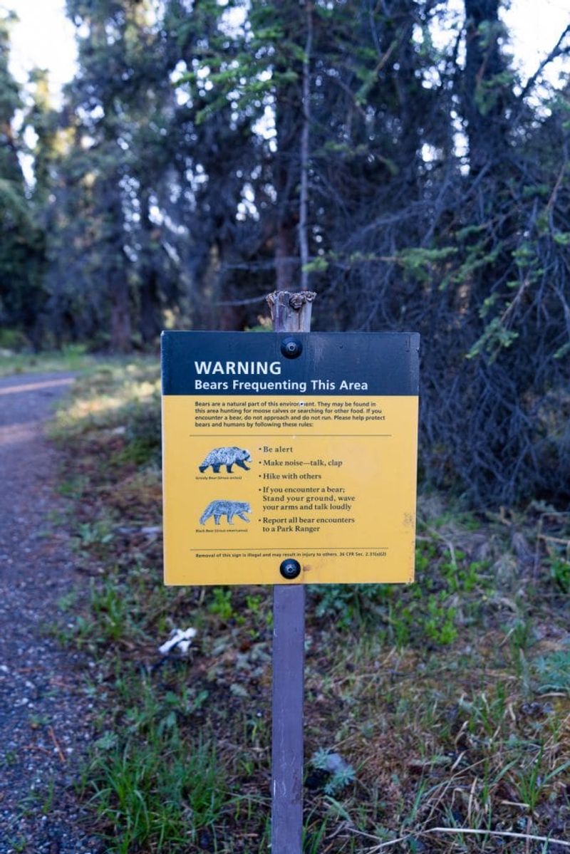 Savage River Loop – Denali NP, AK