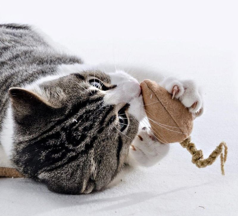 Catnip-Filled Mouse