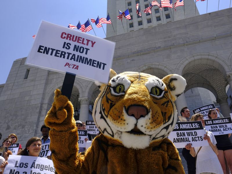 Ethical Entertainment Alternatives