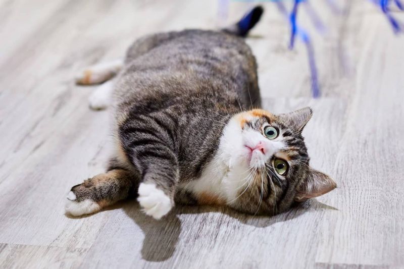 Rolling Over