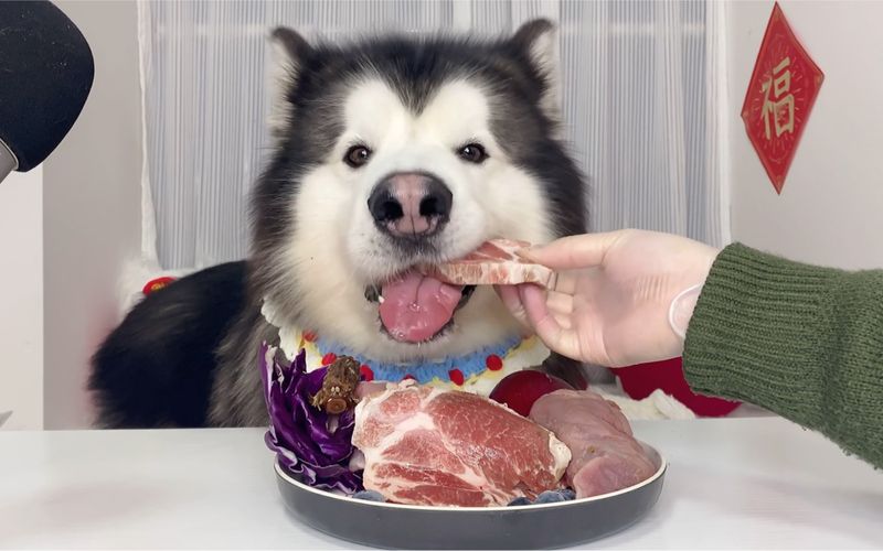 Dietary Needs
