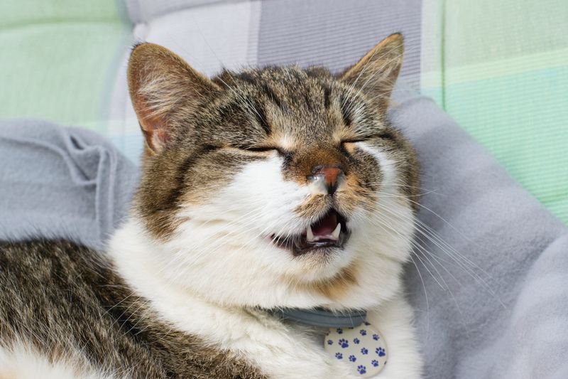 Coughing or Wheezing
