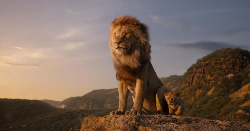 Lions are the King of the Jungle