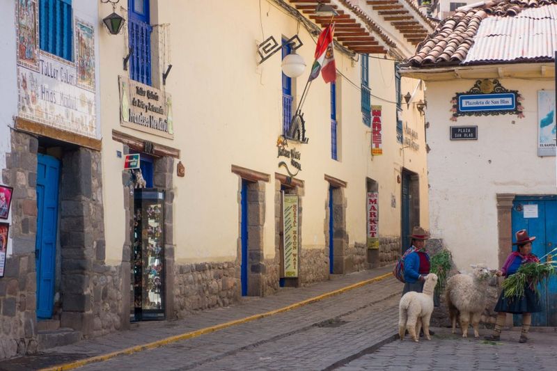 Llama in Cusco's Plaza