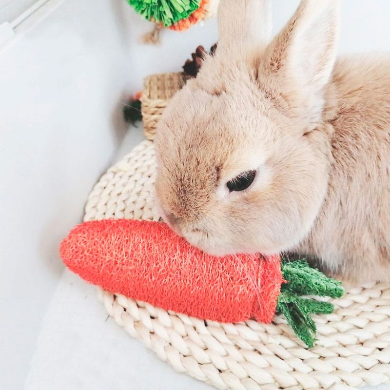 Rope Carrot Toy