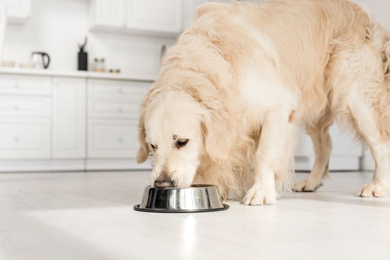 Difficulty Eating or Swallowing