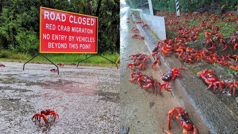 Coastal Journey and Hazards