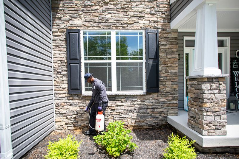 Effective Pest Control Solutions
