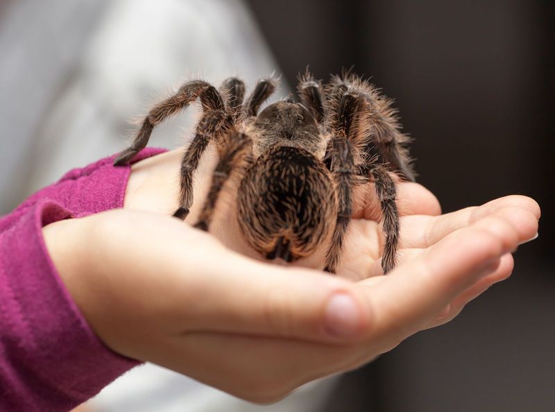 Feeding Practices and Diet