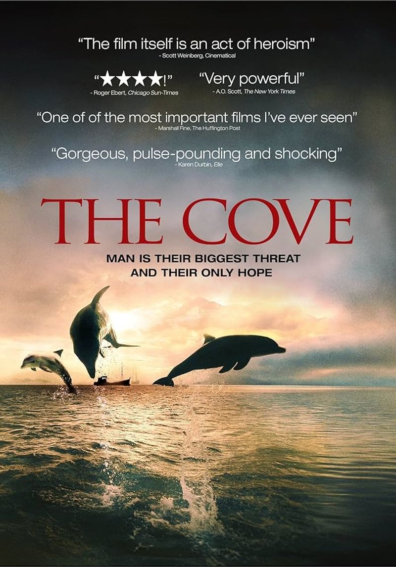 The Cove