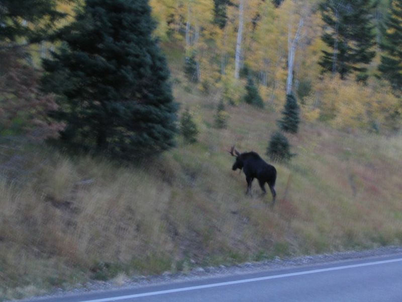 Utah