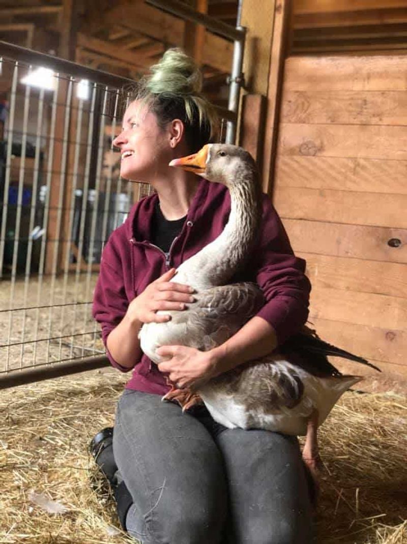 Gertie the Goose