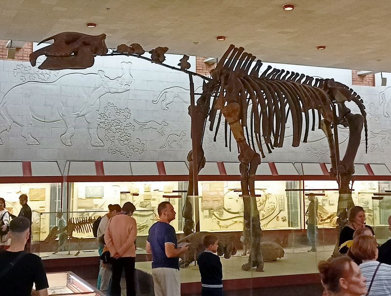 Paraceratherium