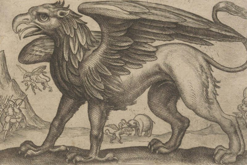 Griffin