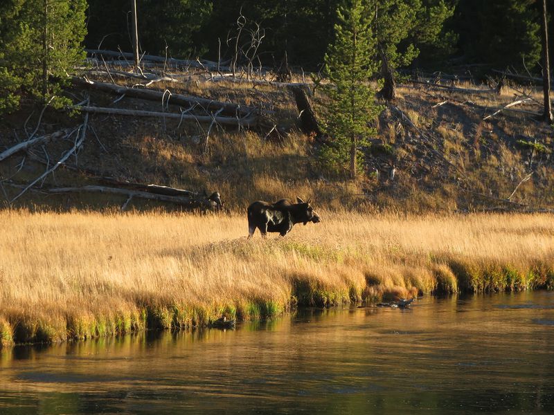 Wyoming
