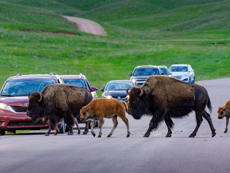 South Dakota
