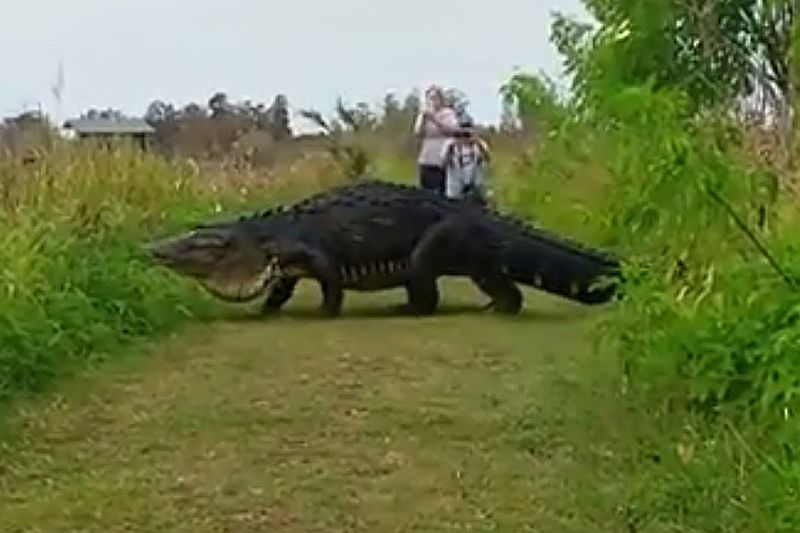 Alabama