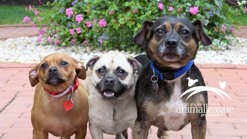Louisiana's Shelter Hope