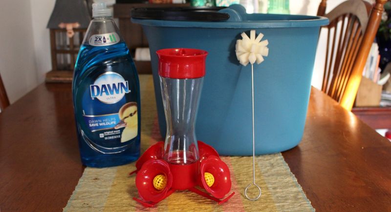 Mistake 2: Neglecting to Clean Feeders Regularly