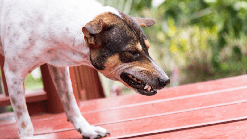 Mistake 3: Using Harsh Discipline