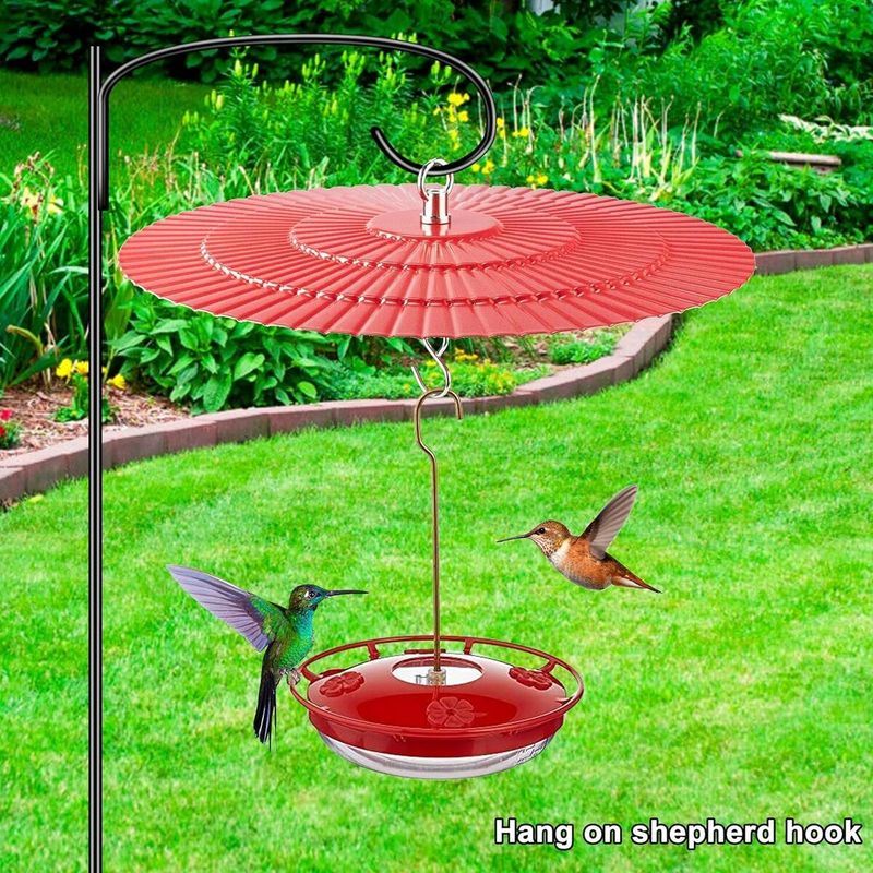 Mistake 3: Placing Feeders in Direct Sunlight