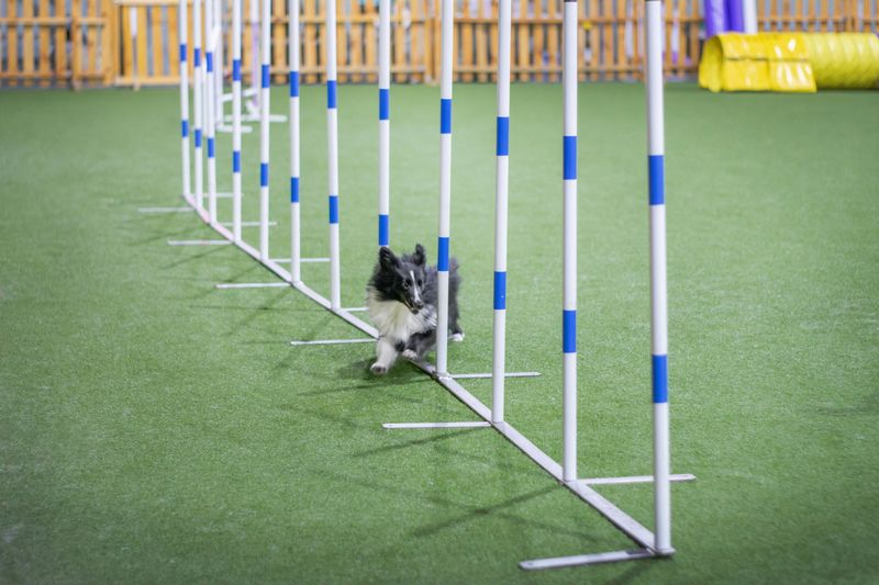 Mistake 6: Skipping Training Sessions