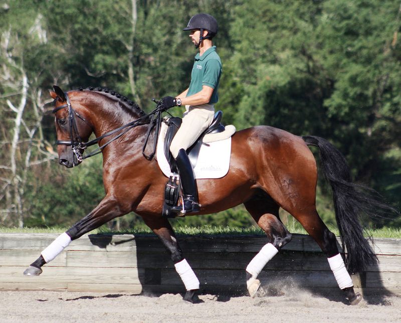 Hanoverian