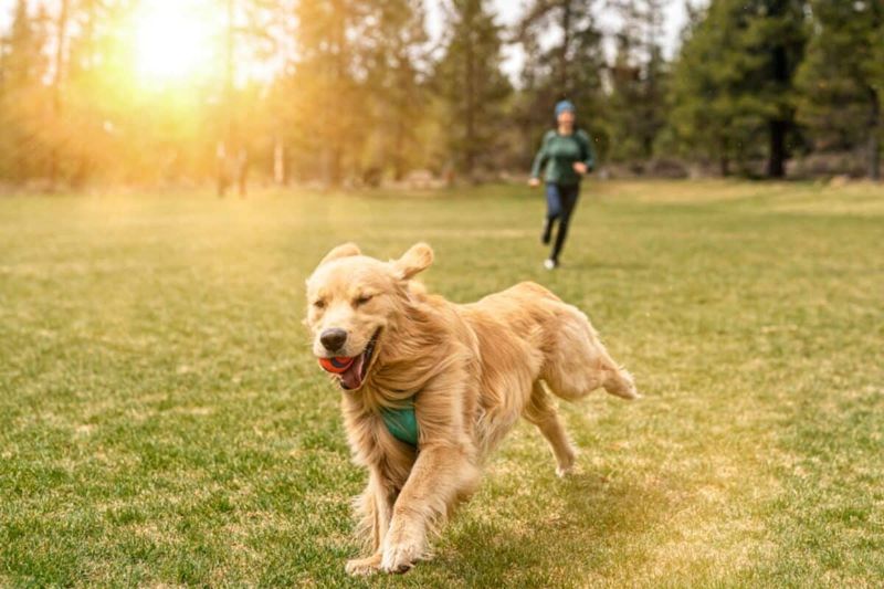 Regular Exercise