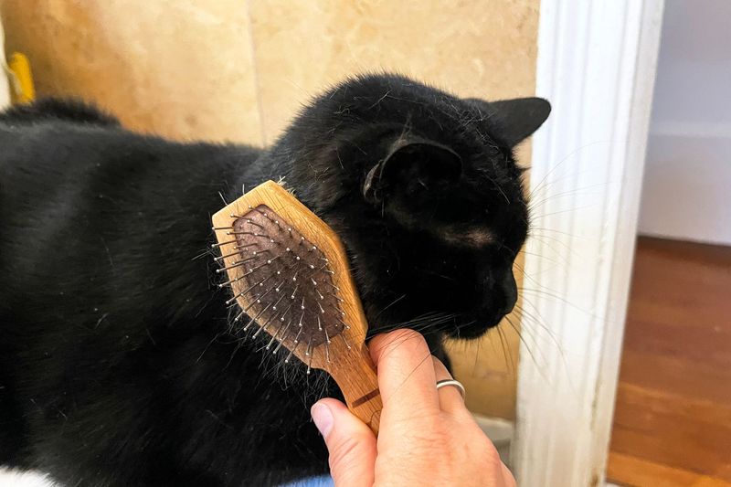 Easy Grooming