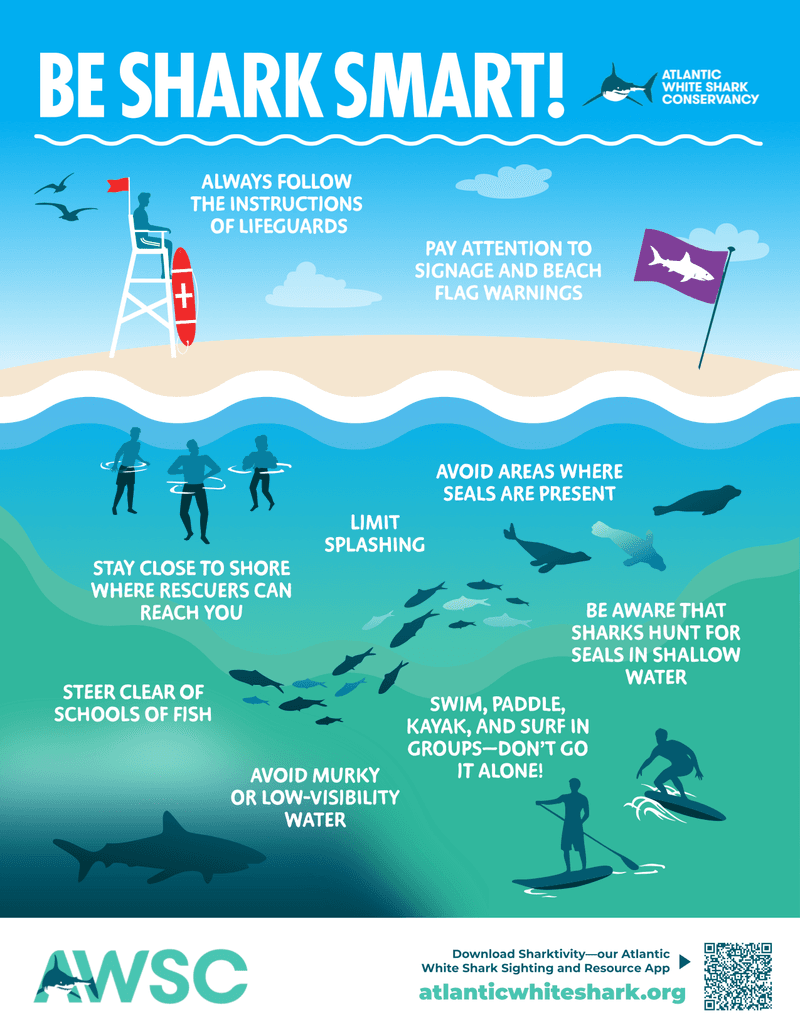 Safety First: Guidelines and Tips