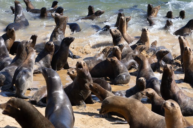 Monterey Bay, California